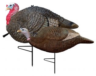turkey hunting decoy