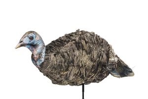 miss purr-fect turkey hen decoy