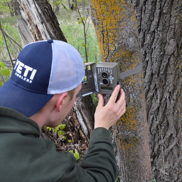 5 Questions to Help You Choose the Best Trail Camera