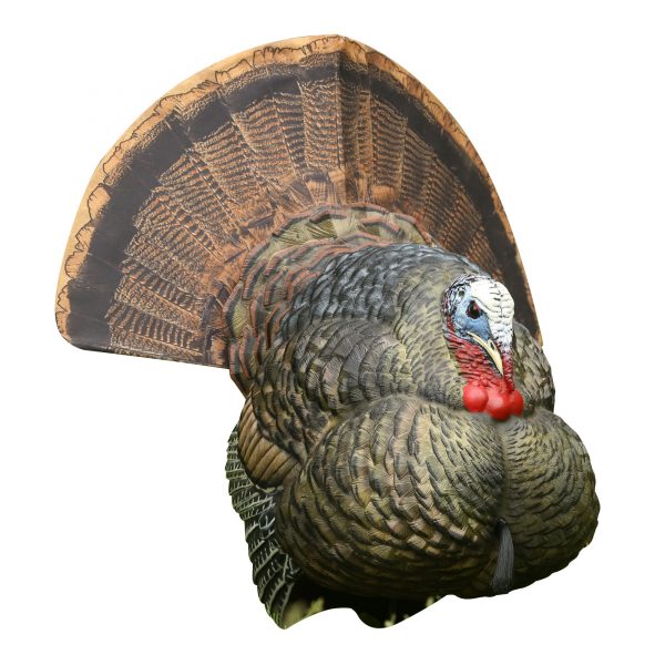 best turkey decoy sale
