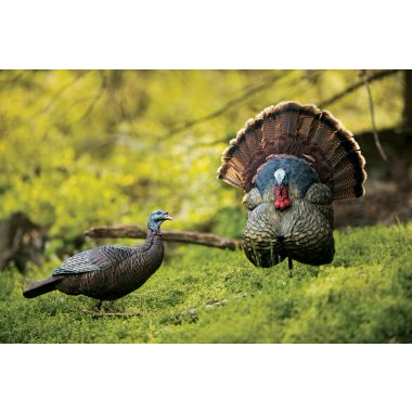 turkey decoy sale