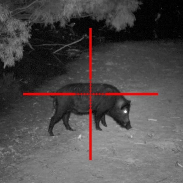 night vision hunting scope
