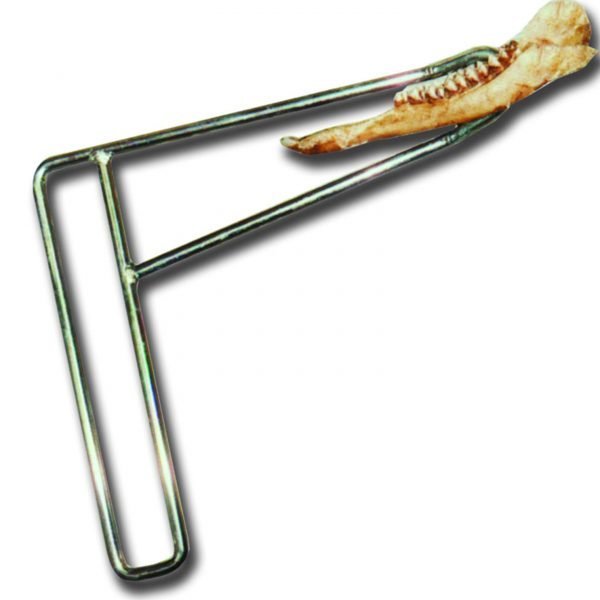 Deer Jaw Bone removal tool
