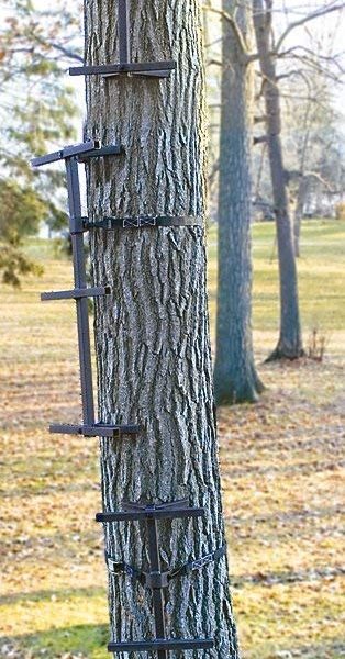 best deal on climbing sticks