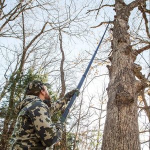 best hunting saw deal