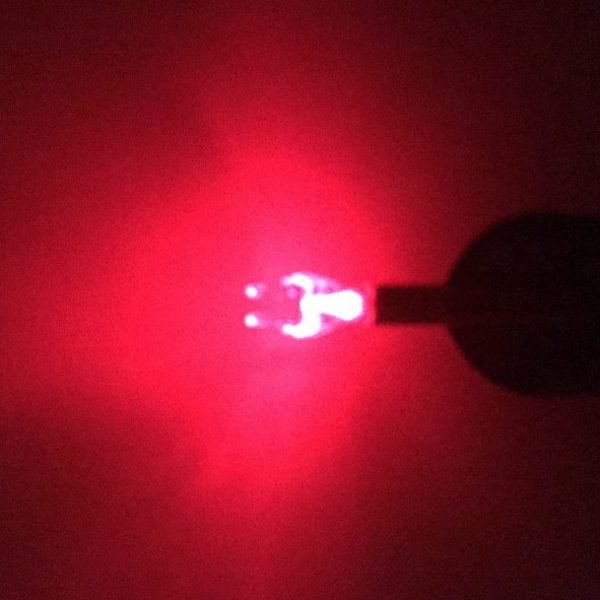 lighted nock review