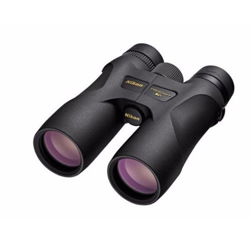 best deal nikon bino