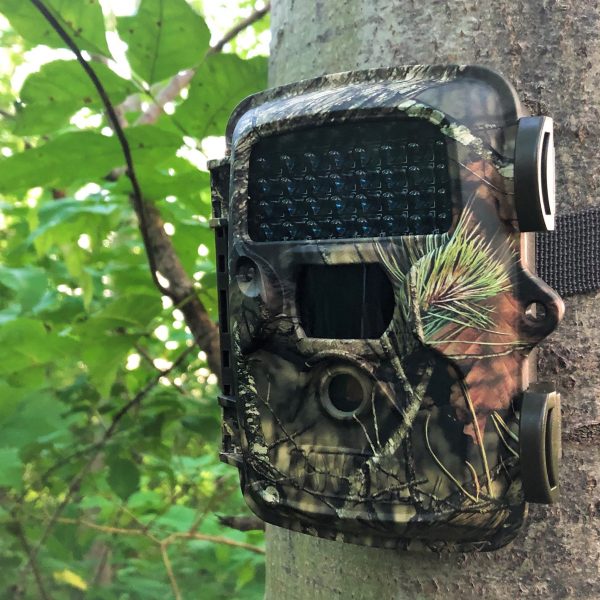 covert mp8 trail camera review