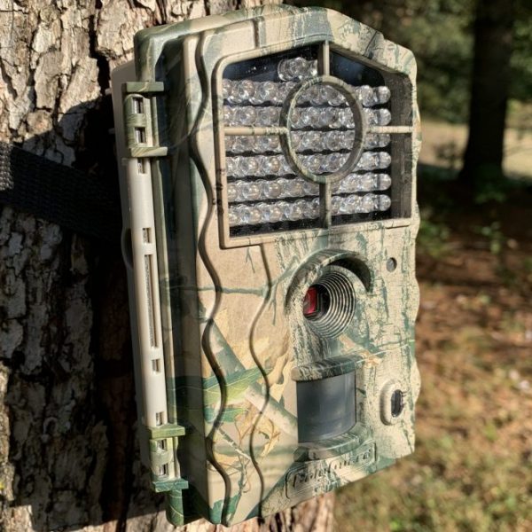 Boly Amazon trail camera review