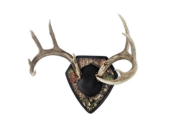 cheapest way to mount a buck