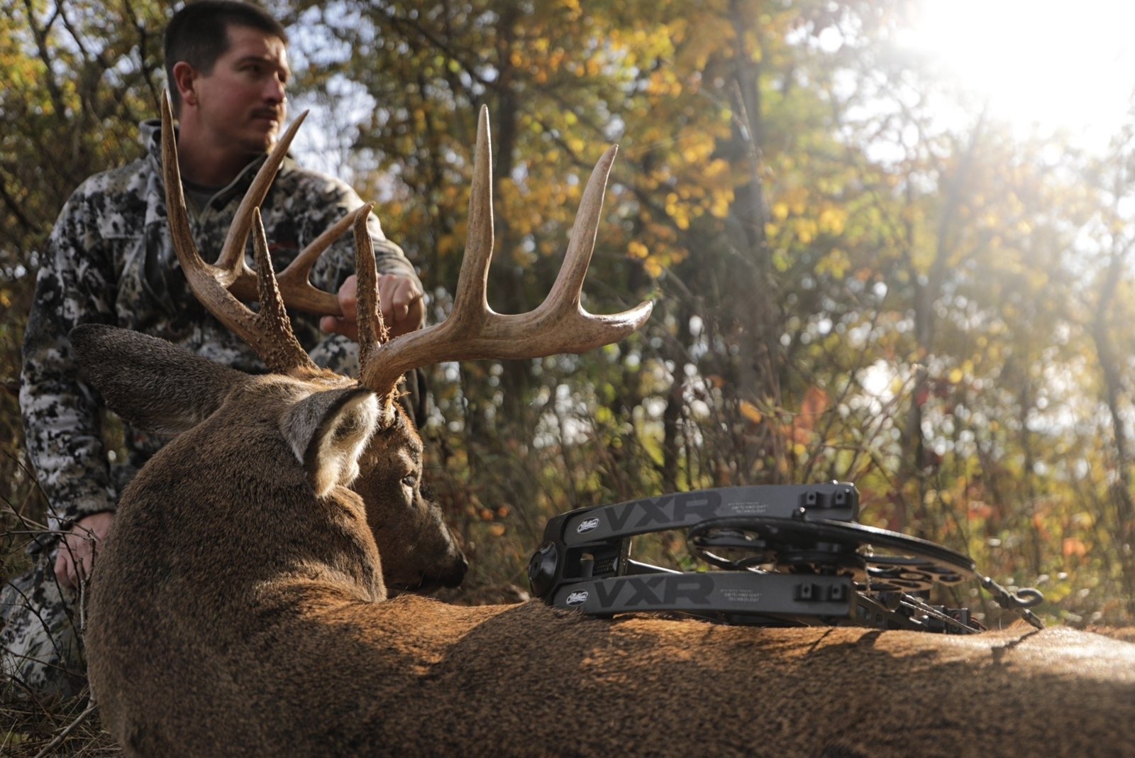 How to kill a buck during the October Lull