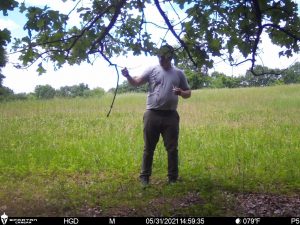 best time to make a mock scrape