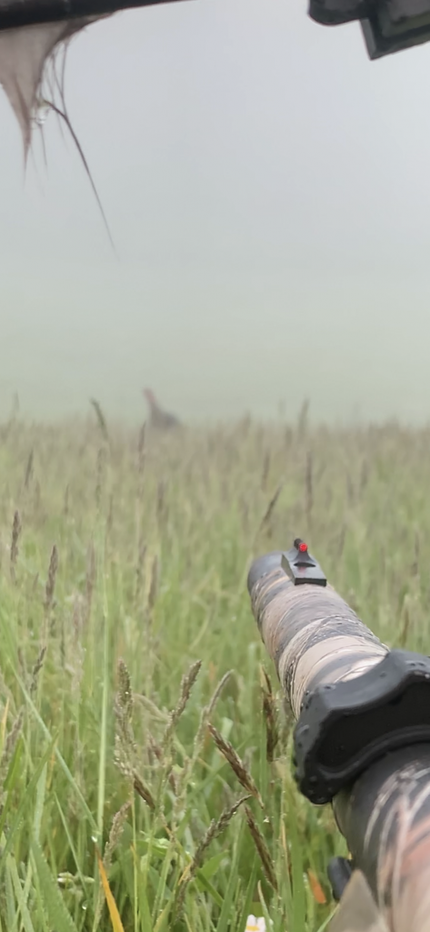 best turkey hunt kill