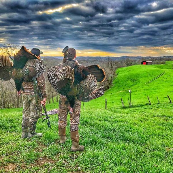 turkey hunting photography