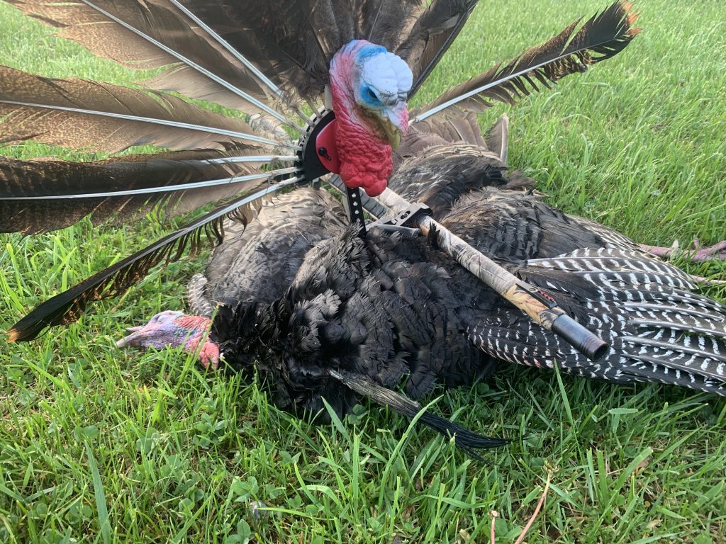 turkey hunting tip reaping