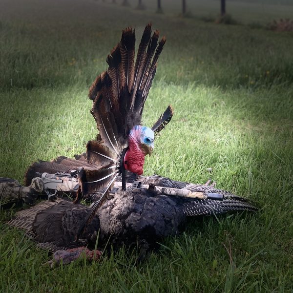 is turkey hunting reaper style safe