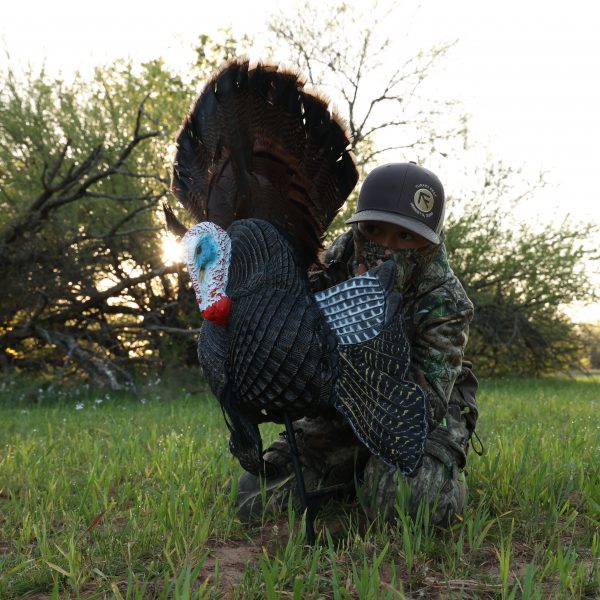 the best turkey reaping decoy