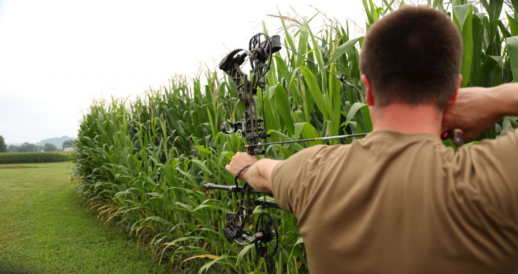 best archery hunting sight
