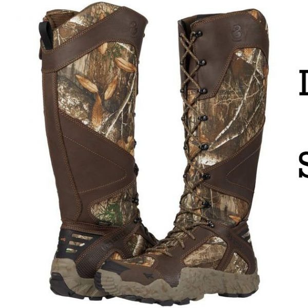 best snake proof boots