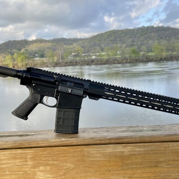 best ar-10 rifle for hunting