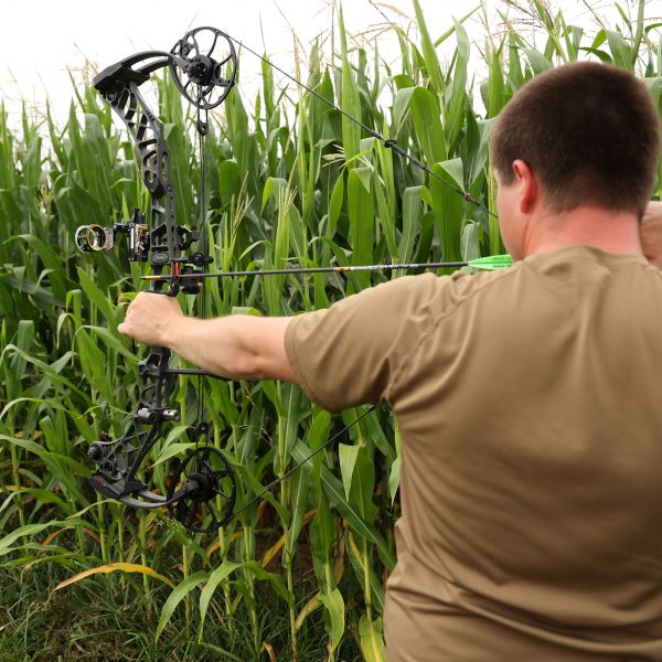 best bowhunting sight