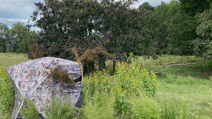 muddy prevue 3 ground blind review