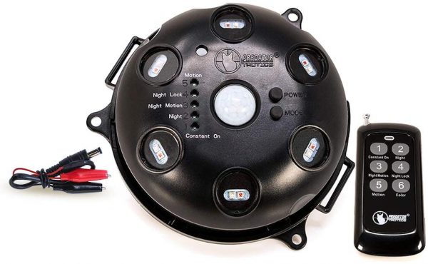 best deer feeder motion light