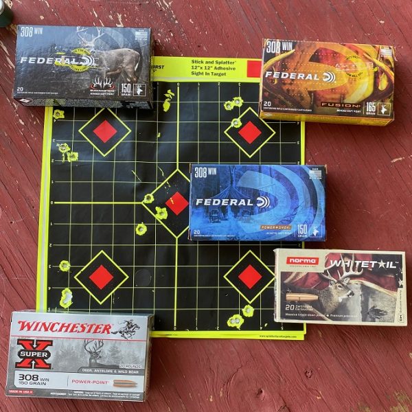100 yard ammo test