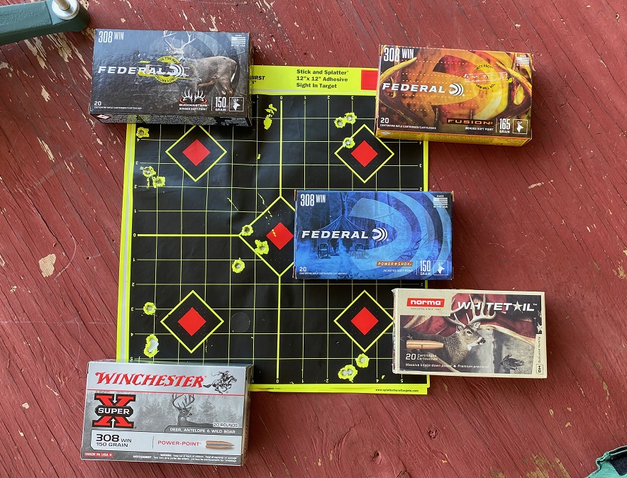 100 yard ammo test