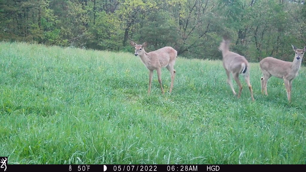 browning strike force max plus gear review