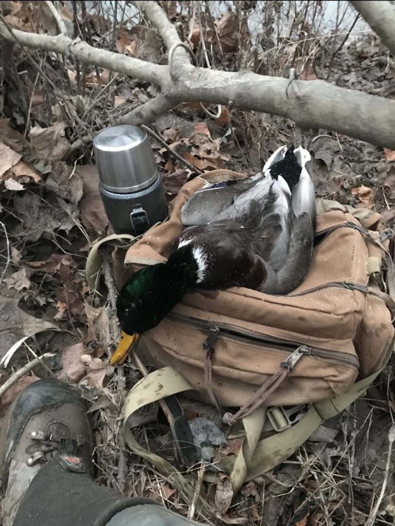 duck hunter's best friend