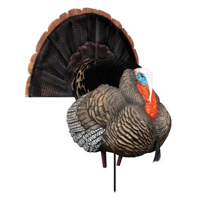 best motion strutter decoy deal