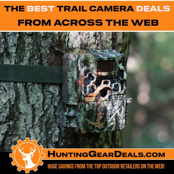 where is the best place to buy trail cameras