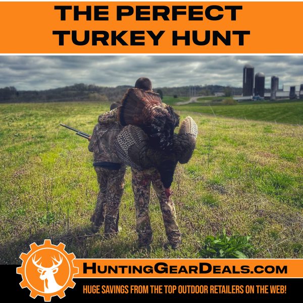 Boston's first turkey