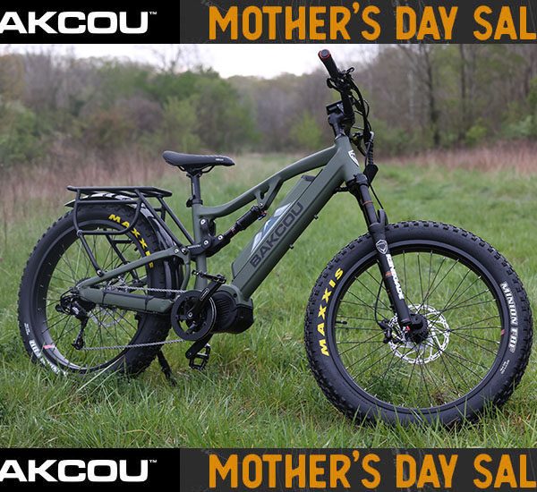 best deal bakcou ebike