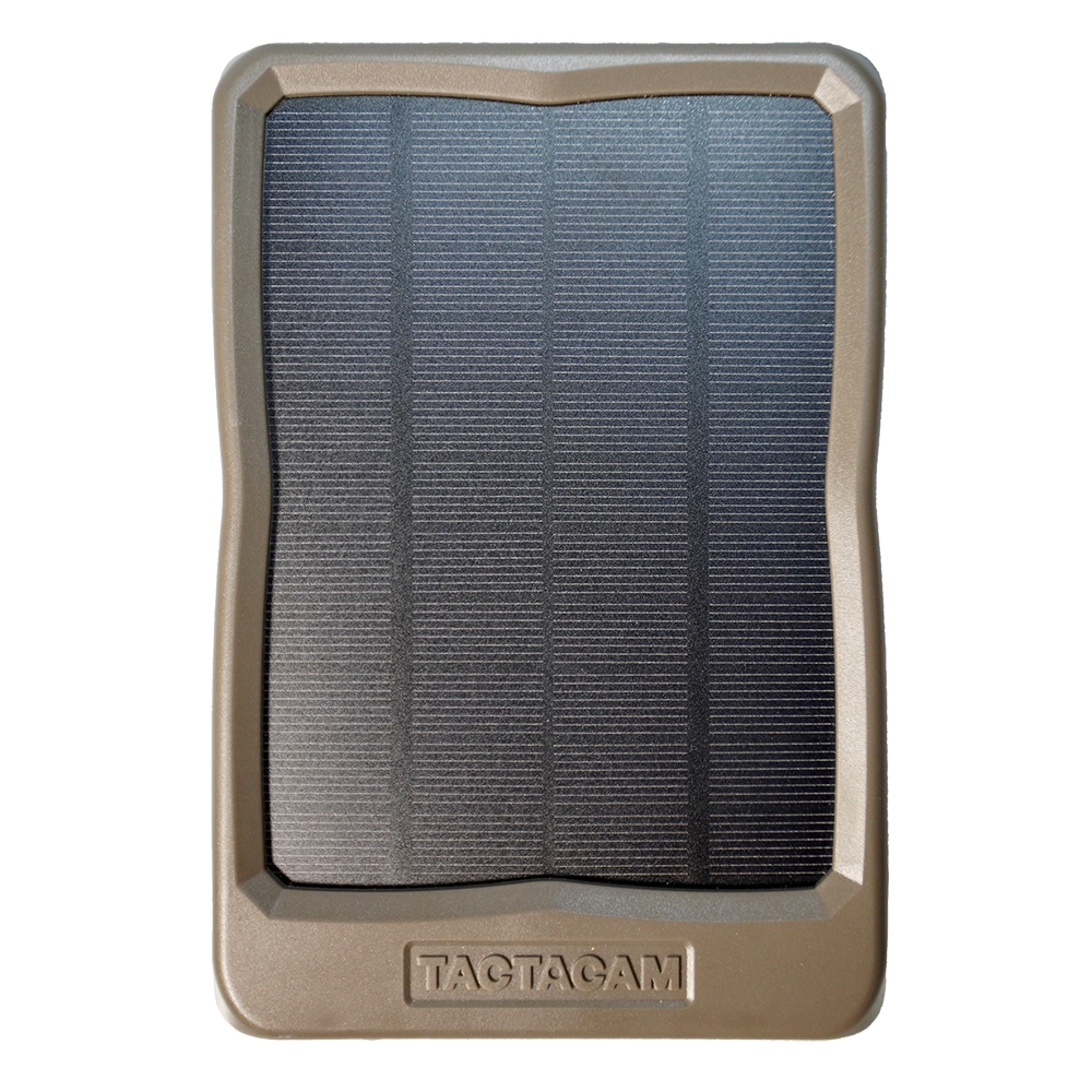 best solar panel for reveal cell cam