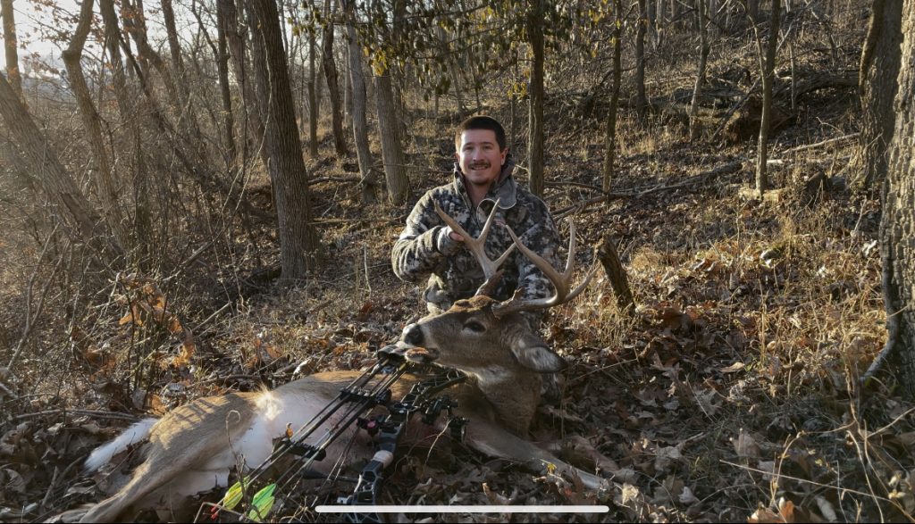 Ohio whitetail deer