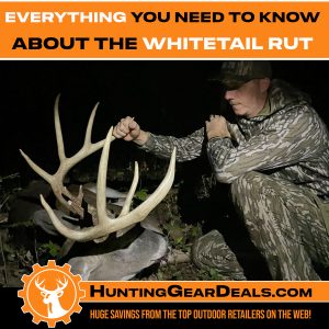 when will the rut be