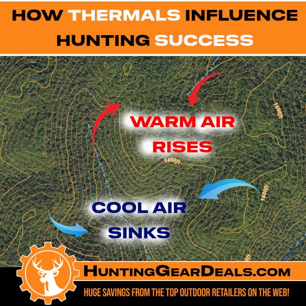 how do thermals affect deer and elk hunting