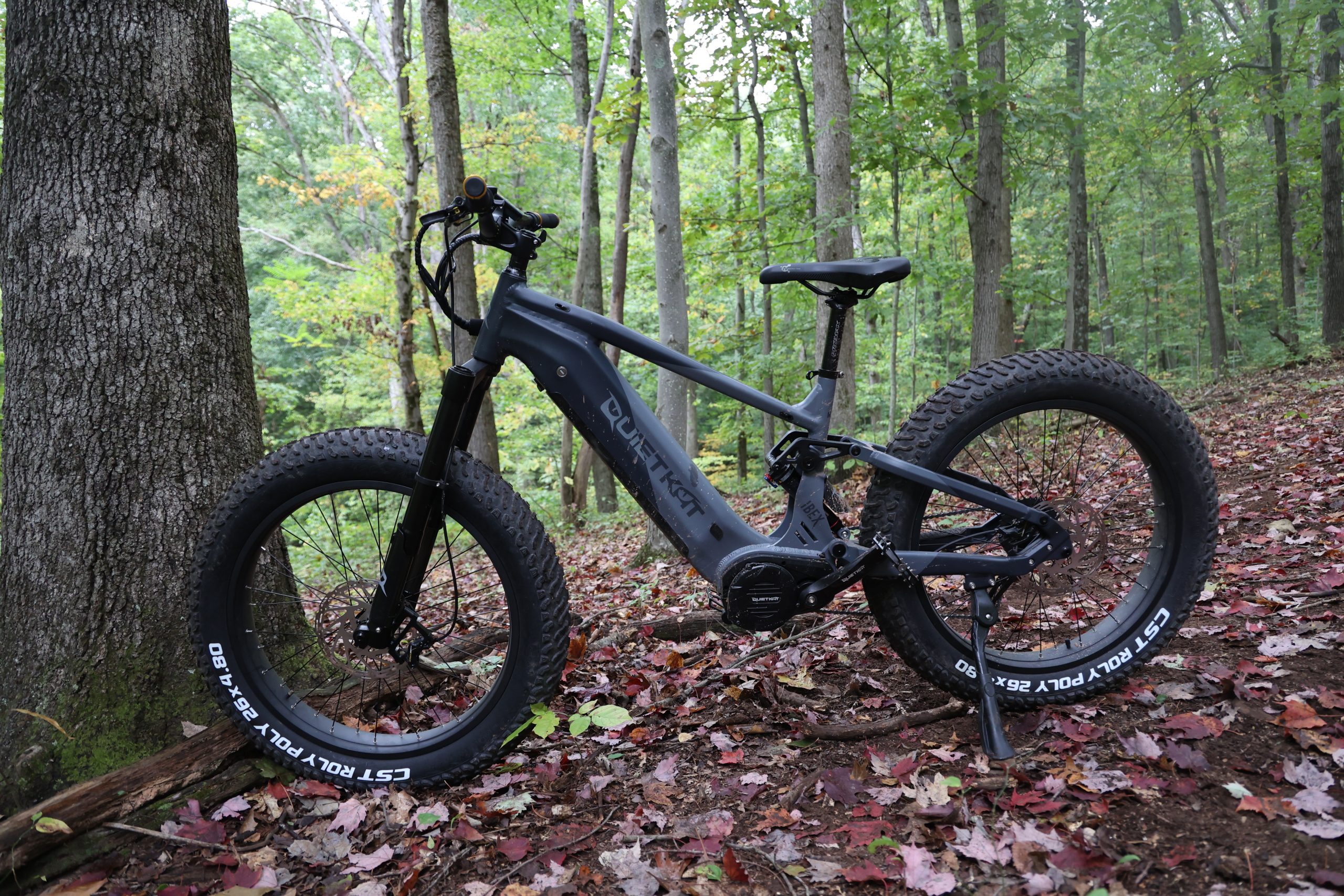 should I buy the quietkat ibex