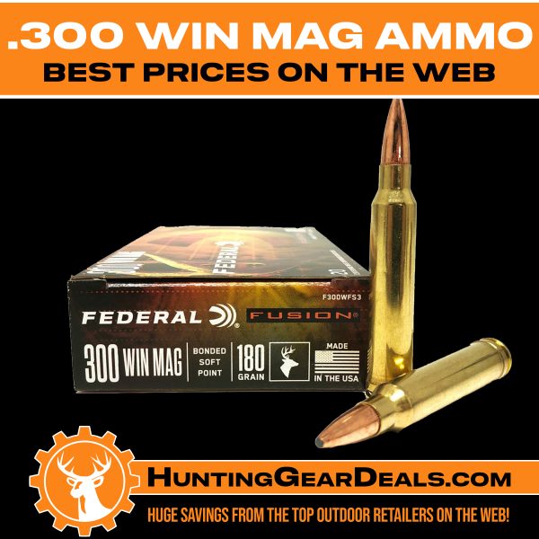 best deal online 300 win mag ammo