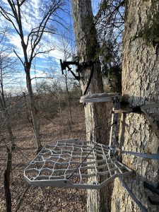 how much cover to do you need in a treestand