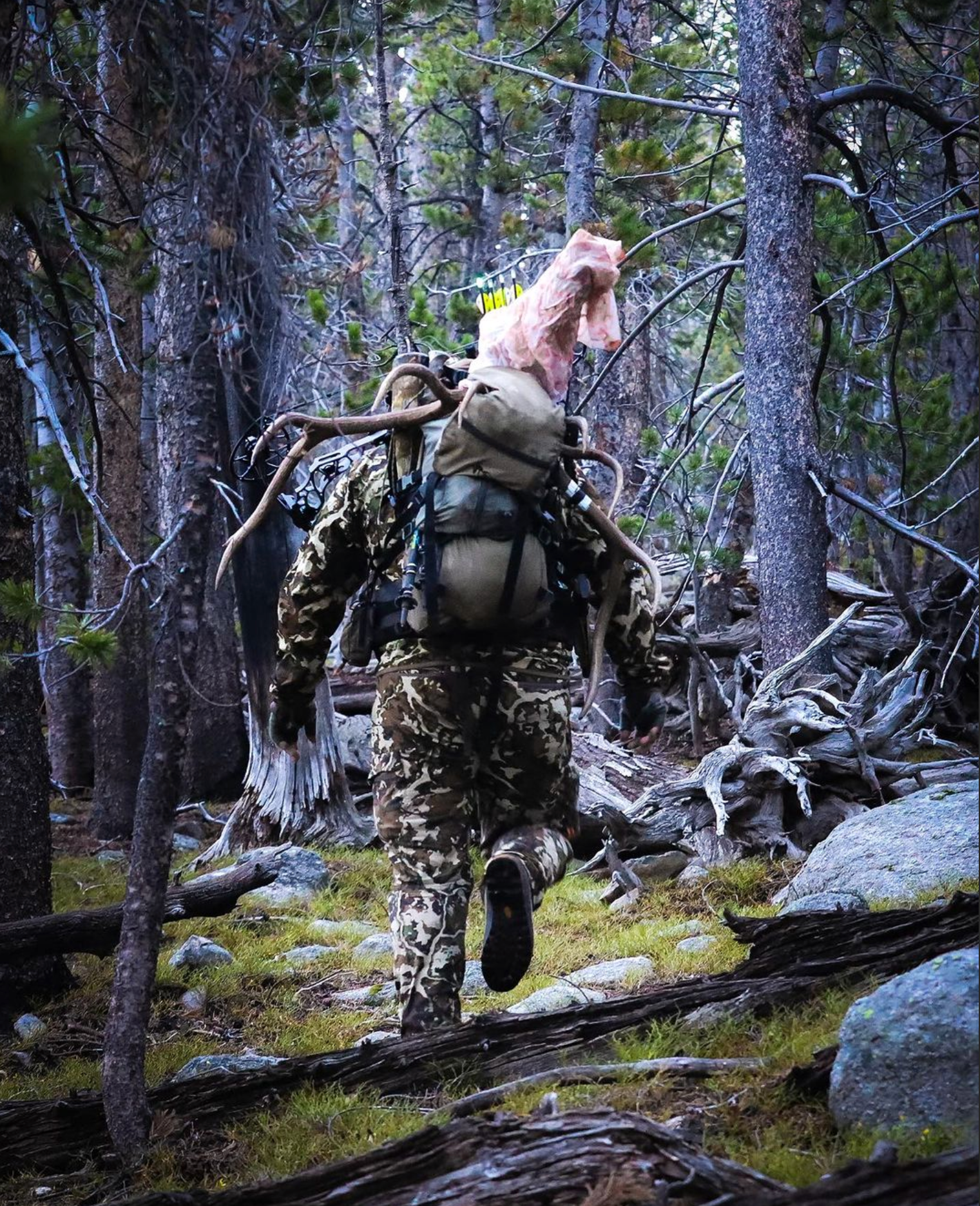 diy elk hunt cody