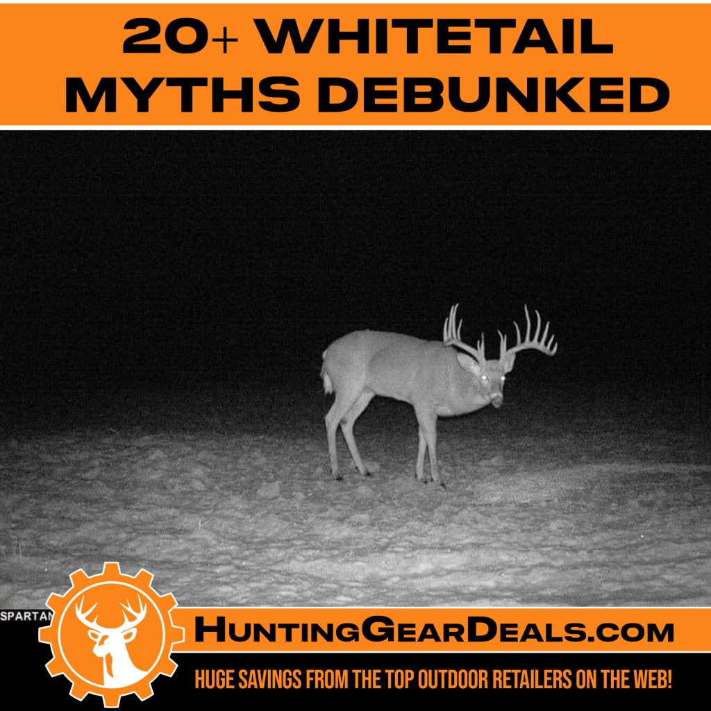 whitetails myths