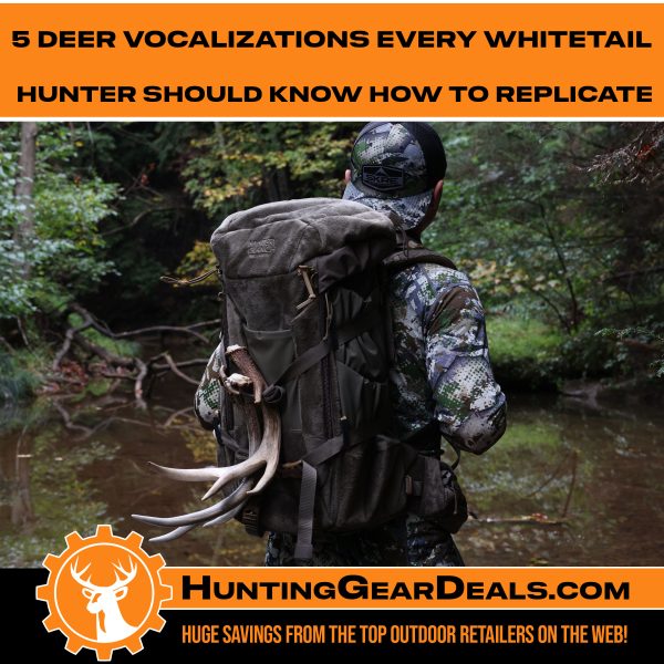 5 best deer calls you need to know