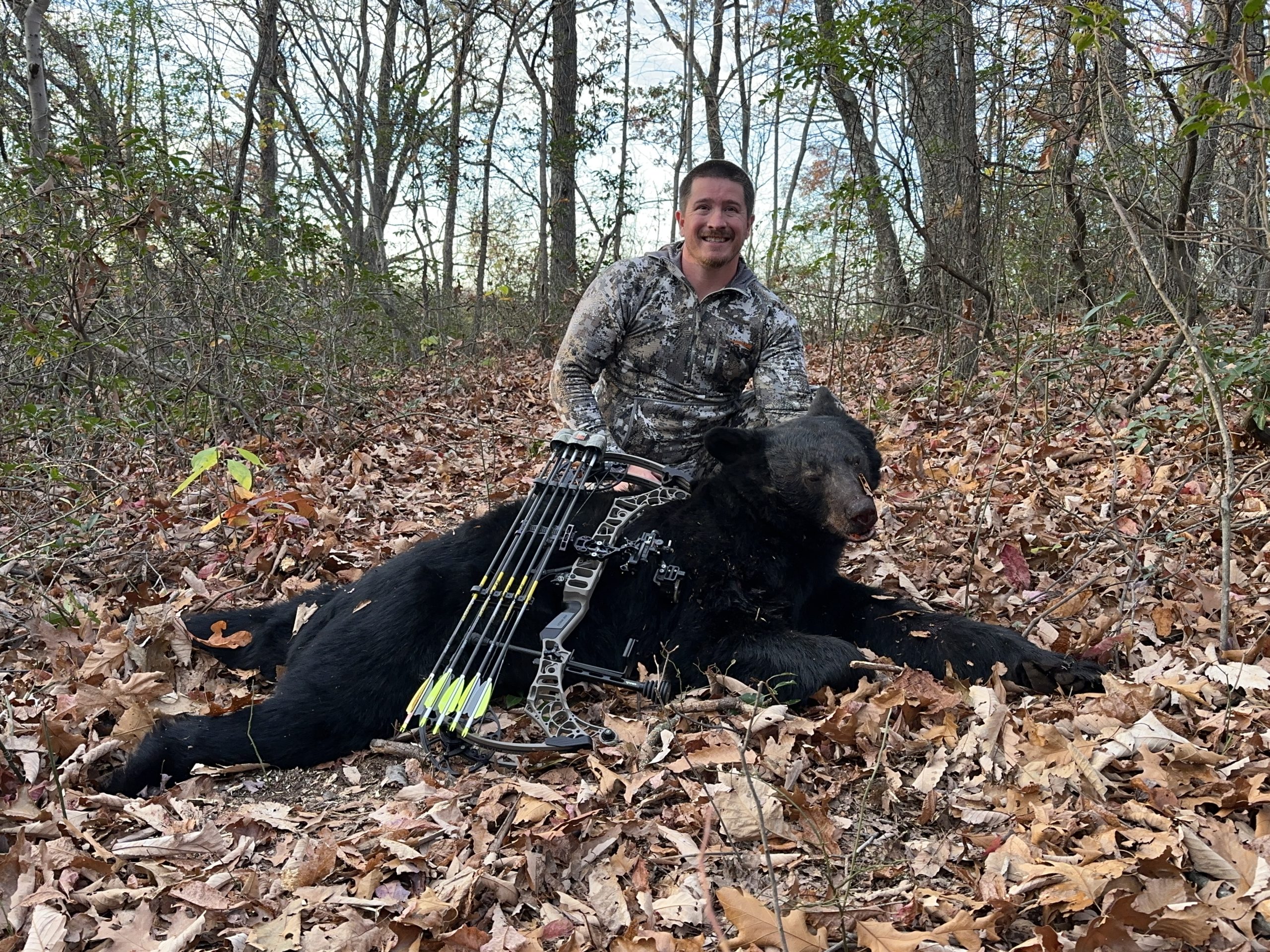 big archery black bear