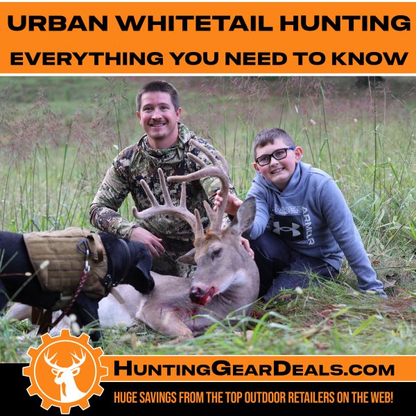 how to hunt urban whitetail deer
