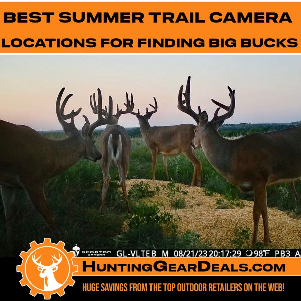how to take inventory of bucks in the summer