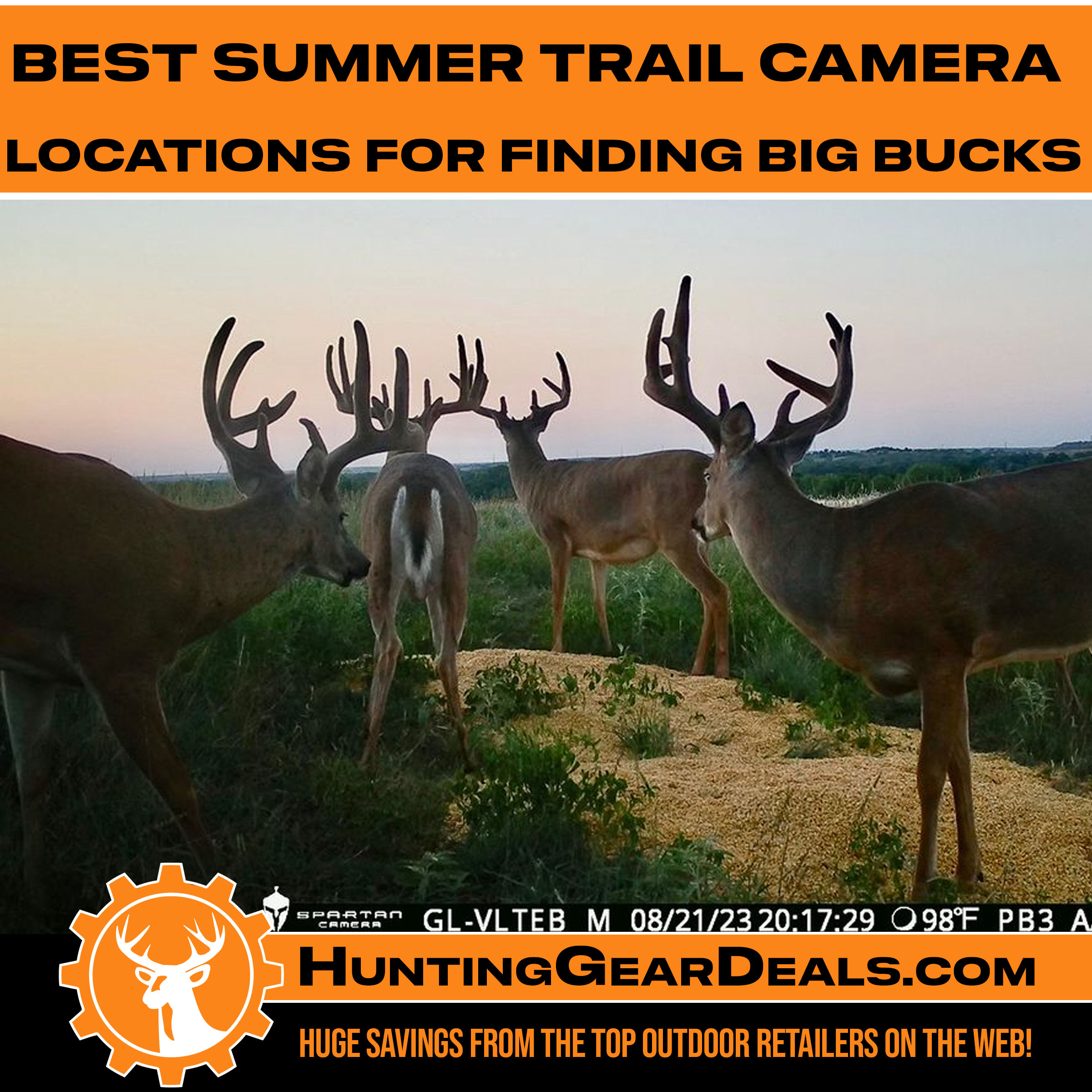 how to take inventory of bucks in the summer