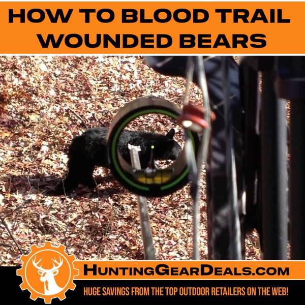 difference bewteen blood trailing bears and deer